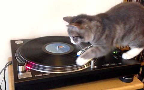 guia definitiva tocadiscos solucion problemas