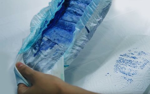 lidl toujours panal absorcion 3
