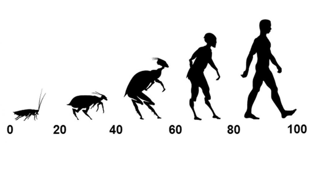 problema deshumanizacion ciclistas en carretera